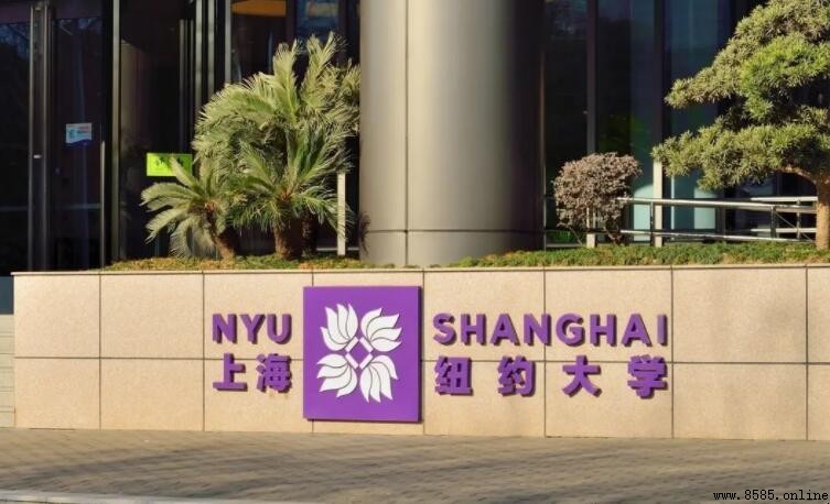 上海紐約大學全面介紹