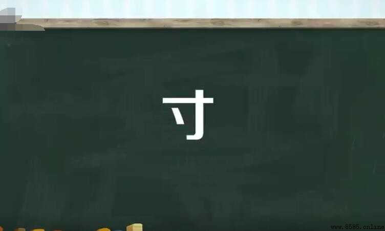 「寸」加偏旁組詞有哪些？