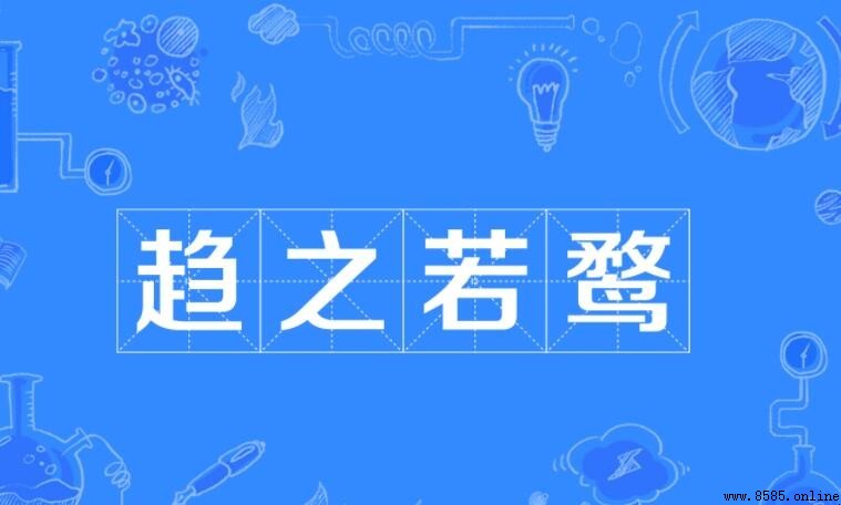趨之若鹜的造句指南