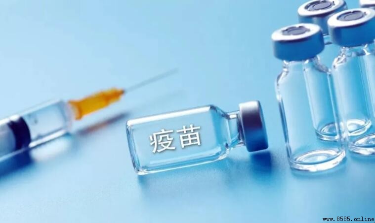 狂犬疫苗有效期多長？注射後保護期為何時段