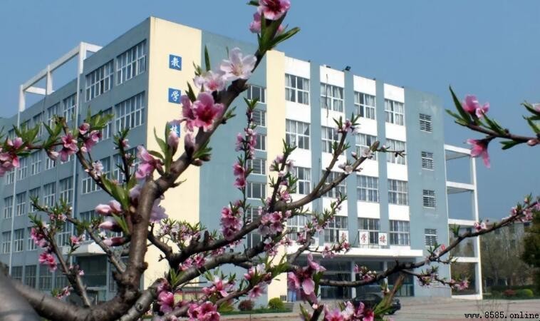 蚌埠經濟技術職業學院是幾本?