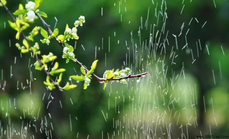 什麼的春雨填空詞語有哪些