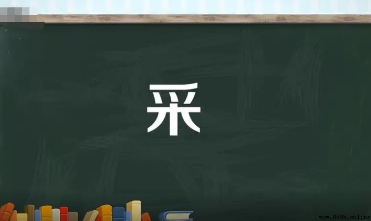 采字组词大全及常用词语整理