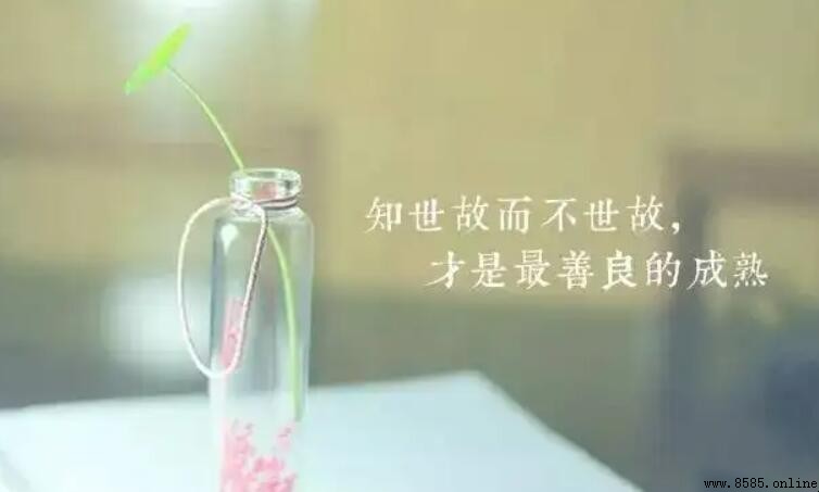 知世故而不世故的含義與解釋