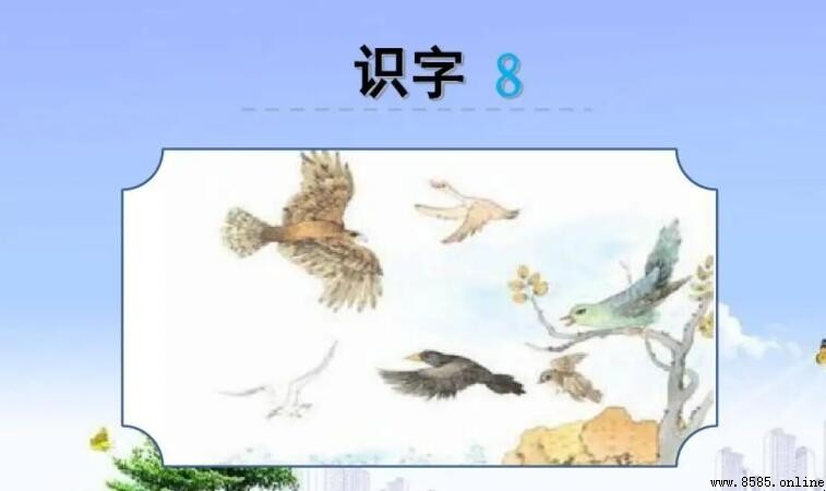 鳥字旁的字有哪些