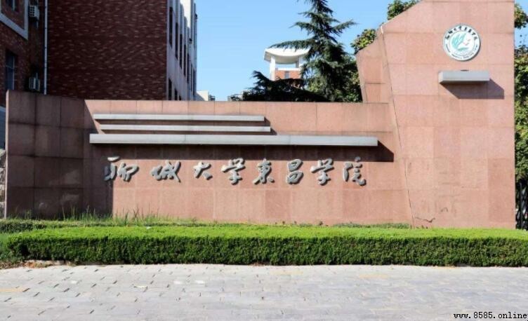 聊城大学东昌学院是几本