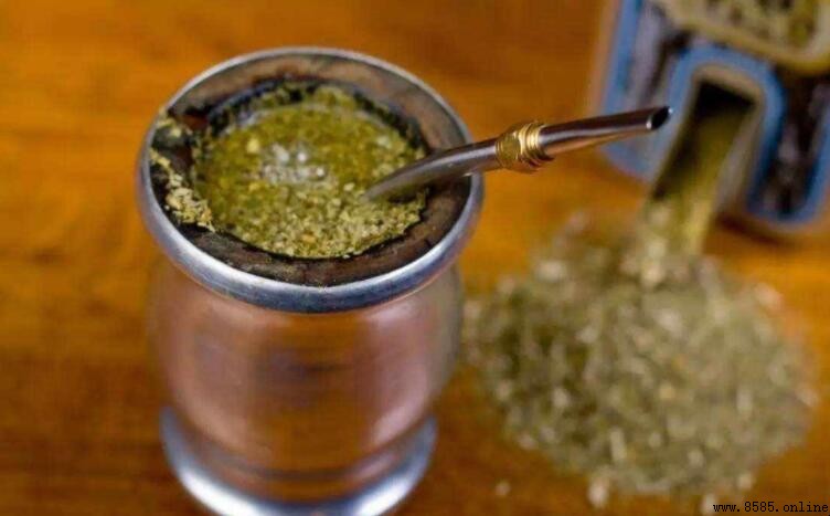 馬黛茶不適合哪些人喝?四大禁忌族群要注意