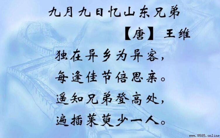 《九月九日忆山东兄弟》中的“山东”是什么意思