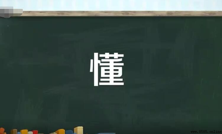 懂字组词大全