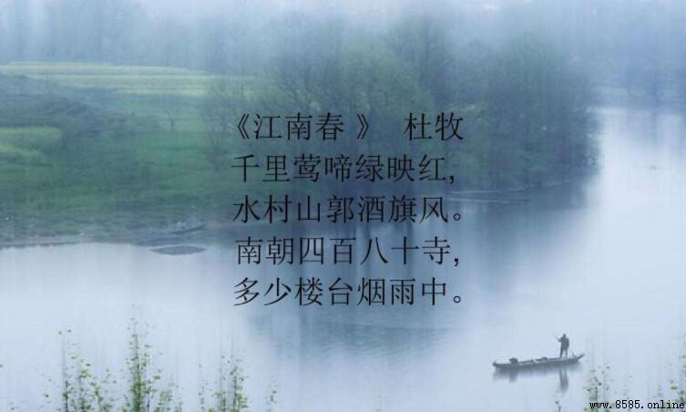 千里莺啼绿映红的下一句