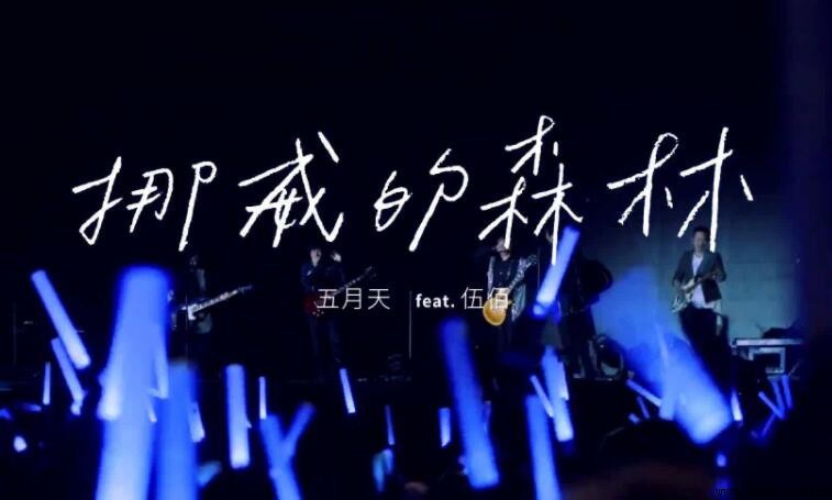 《挪威的森林》歌詞解析|伍佰原創版與意境深度剖析