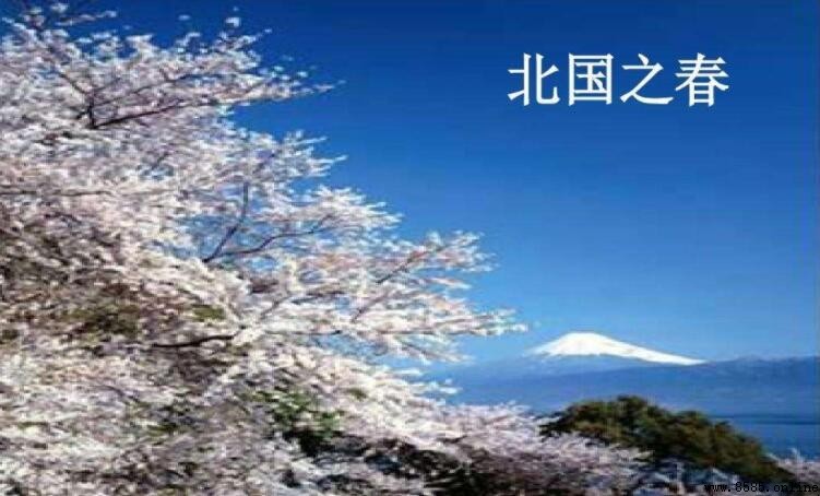《北國之春》歌詞完整版
