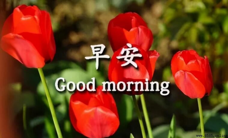 甜撩早安句子:15句温暖每日心情