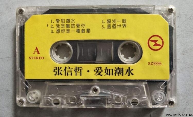 《愛如潮水》歌詞完整版 - 張信哲經典曲目