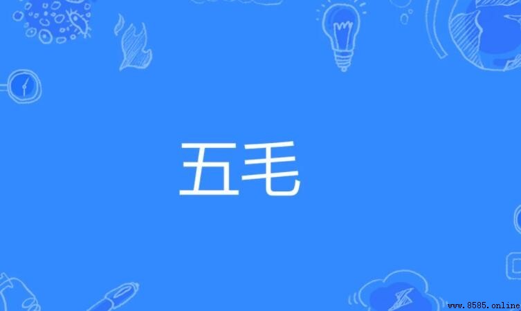 五毛的意思解析