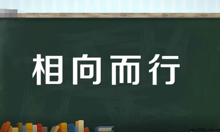 相向而行意思解析
