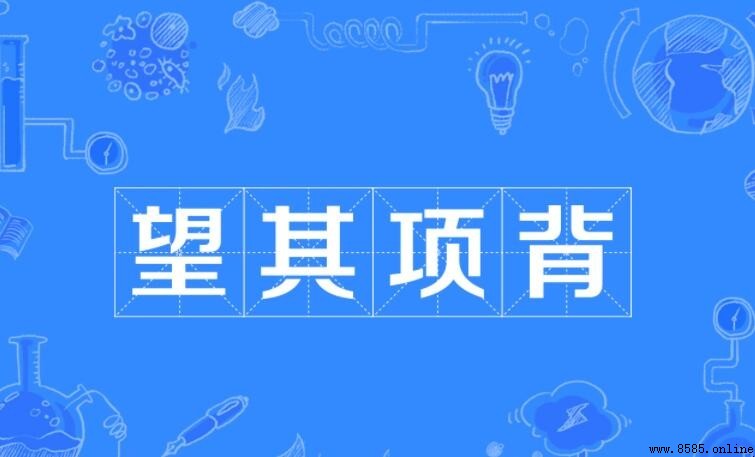 望其项背如何造句