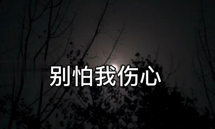 《別怕我傷心》的創作背景與歌曲故事
