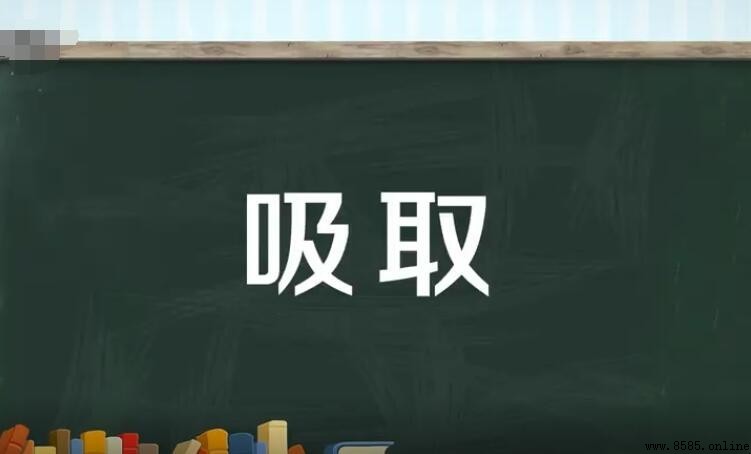 汲取與吸取的區別