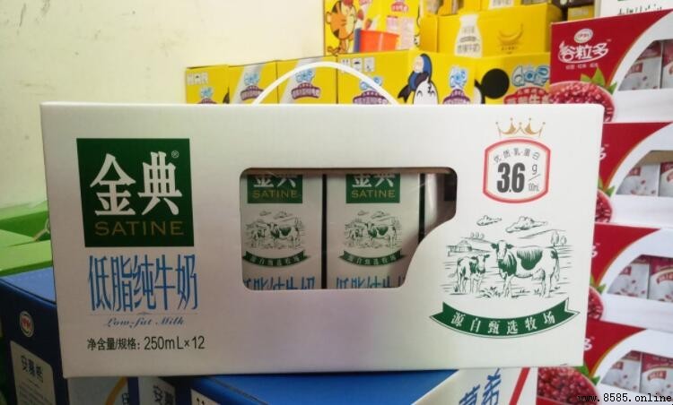 金典純牛奶的保質期是多長?常溫保存與開封後的注意事項