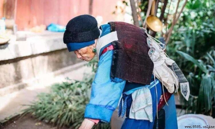 鲐背之年是多少歲？解析90歲的雅稱由來