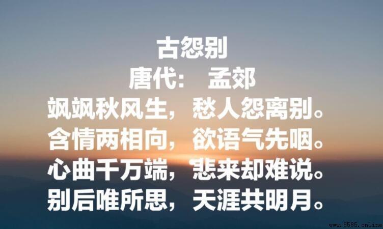 天涯共明月出自哪首詩