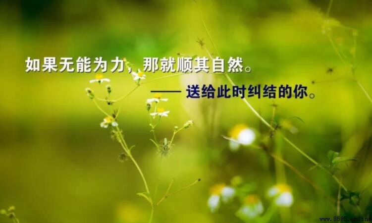 勵志致自己的簡短語錄｜11句鼓舞人心的話語