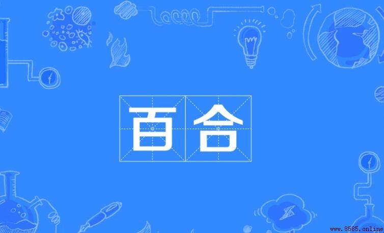 網絡用語百合的含義解說