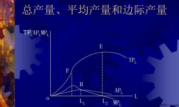 邊際產量與平均產量的關係解析