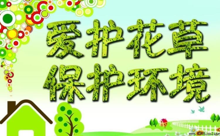 愛護花草樹木的宣傳標語集結