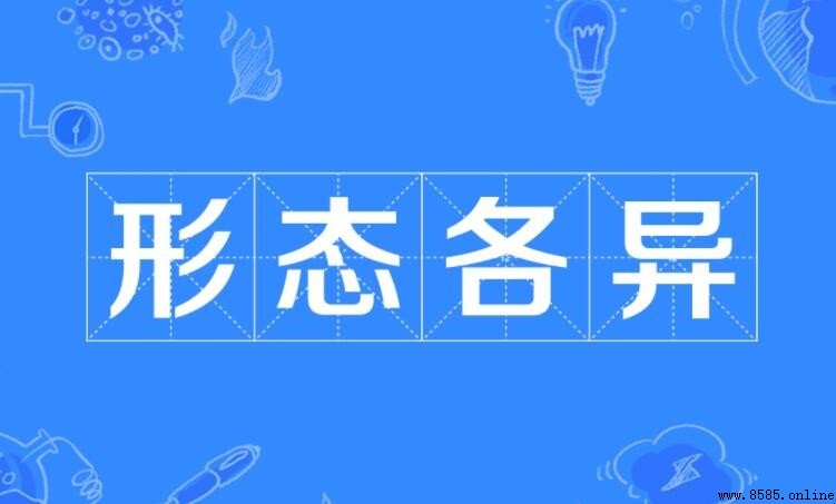 形態各異造句指南:多樣化形容詞的實際運用