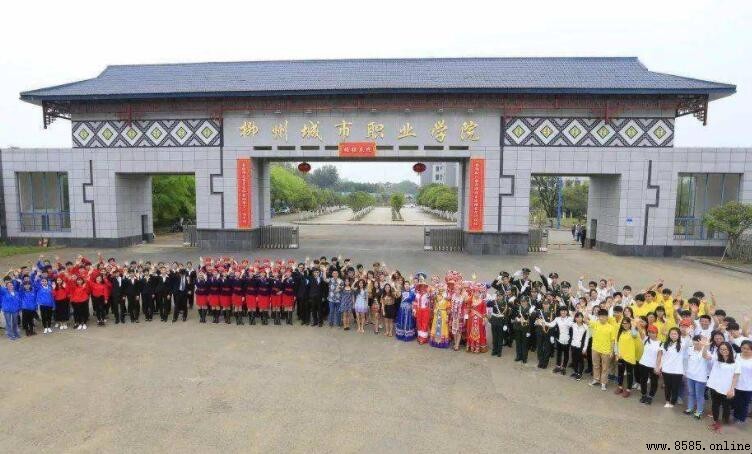 柳州城市职业学院是大专还是本科