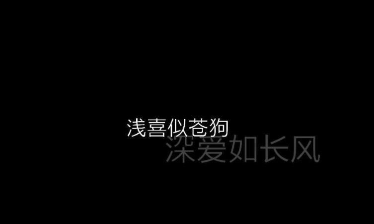 淺喜似蒼狗深愛如長風的含義與出處