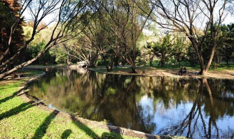 上海共青國家森林公園位置在哪裡