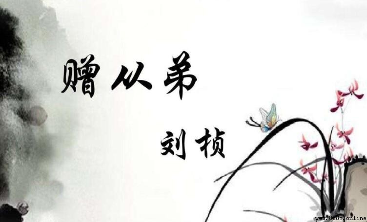 《赠从弟》的作者是谁