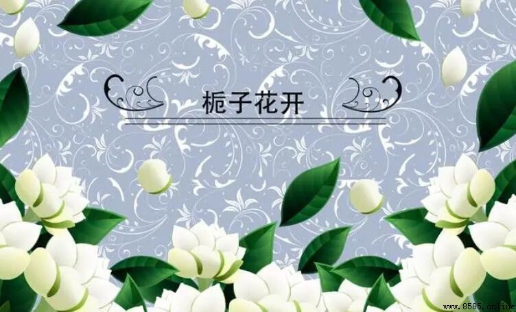 《栀子花开》的创作背景