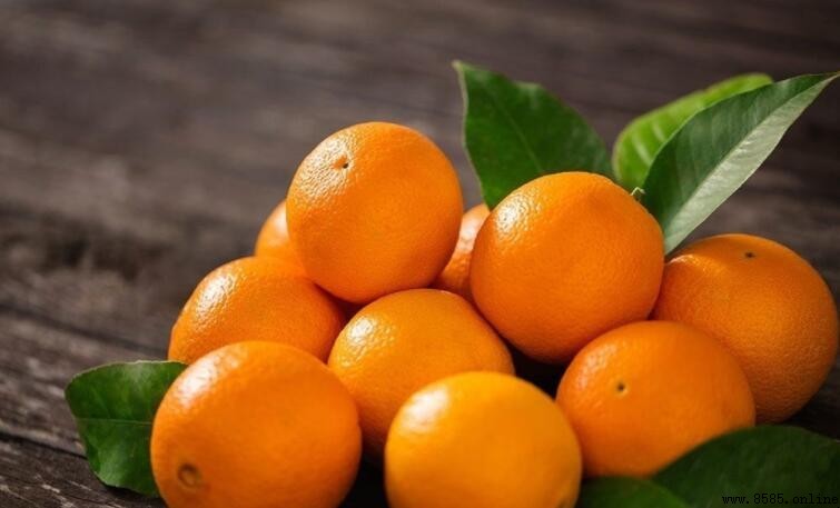 橙子屬於涼性水果嗎？營養與食用注意事項解析