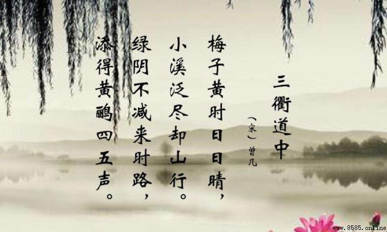 綠陰不減來時路是哪首詩
