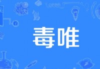 毒唯是什麼意思？解析圈內指標性現象
