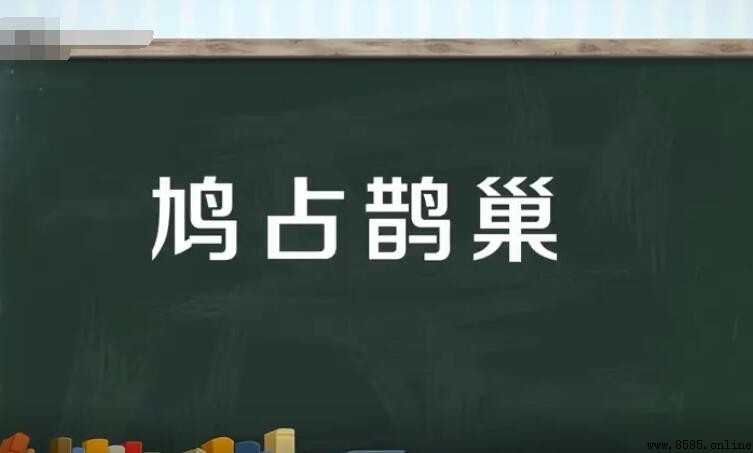 鳩占雀巢造句示例