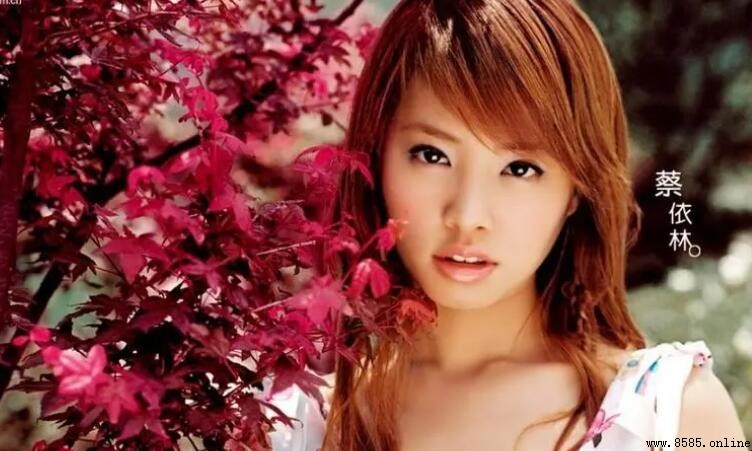 《倒带》歌词完整版