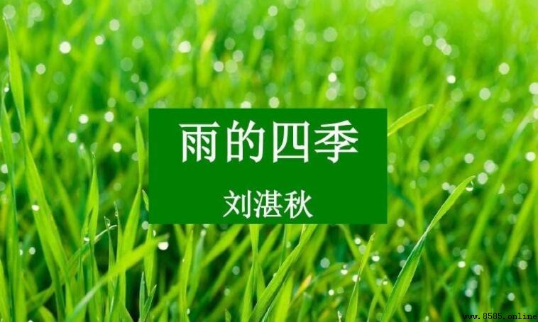 《雨的四季》讀後感怎麼寫？範文與寫法解析