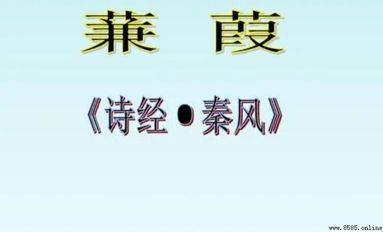 在水一方出自哪首詩