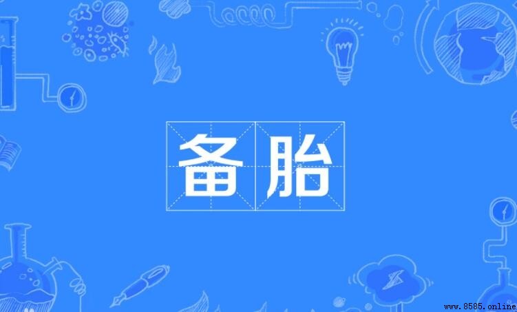 備胎的含義與比喻用法