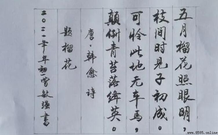 五月榴花照眼明 出自哪首詩