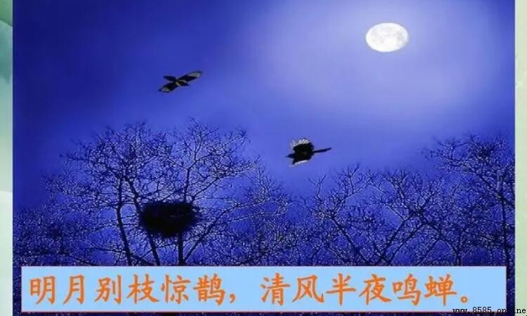 明月別枝驚鵲的含義與詩詞背景解析