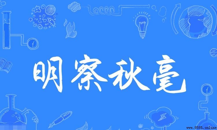 明察秋毫造句示例與用法
