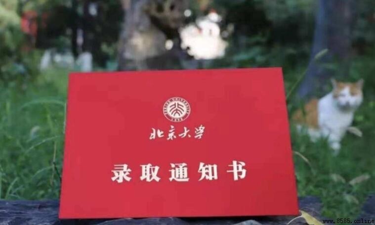 擬錄取的意思解說