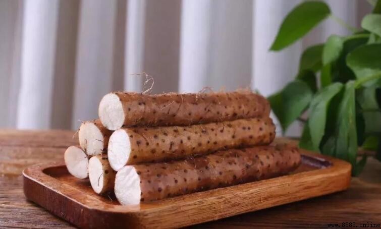 淮山要煮多久才能熟?解析不同厚度與種類的烹煮時間
