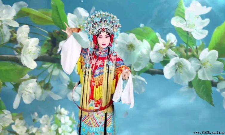 《梨花颂》歌词解析